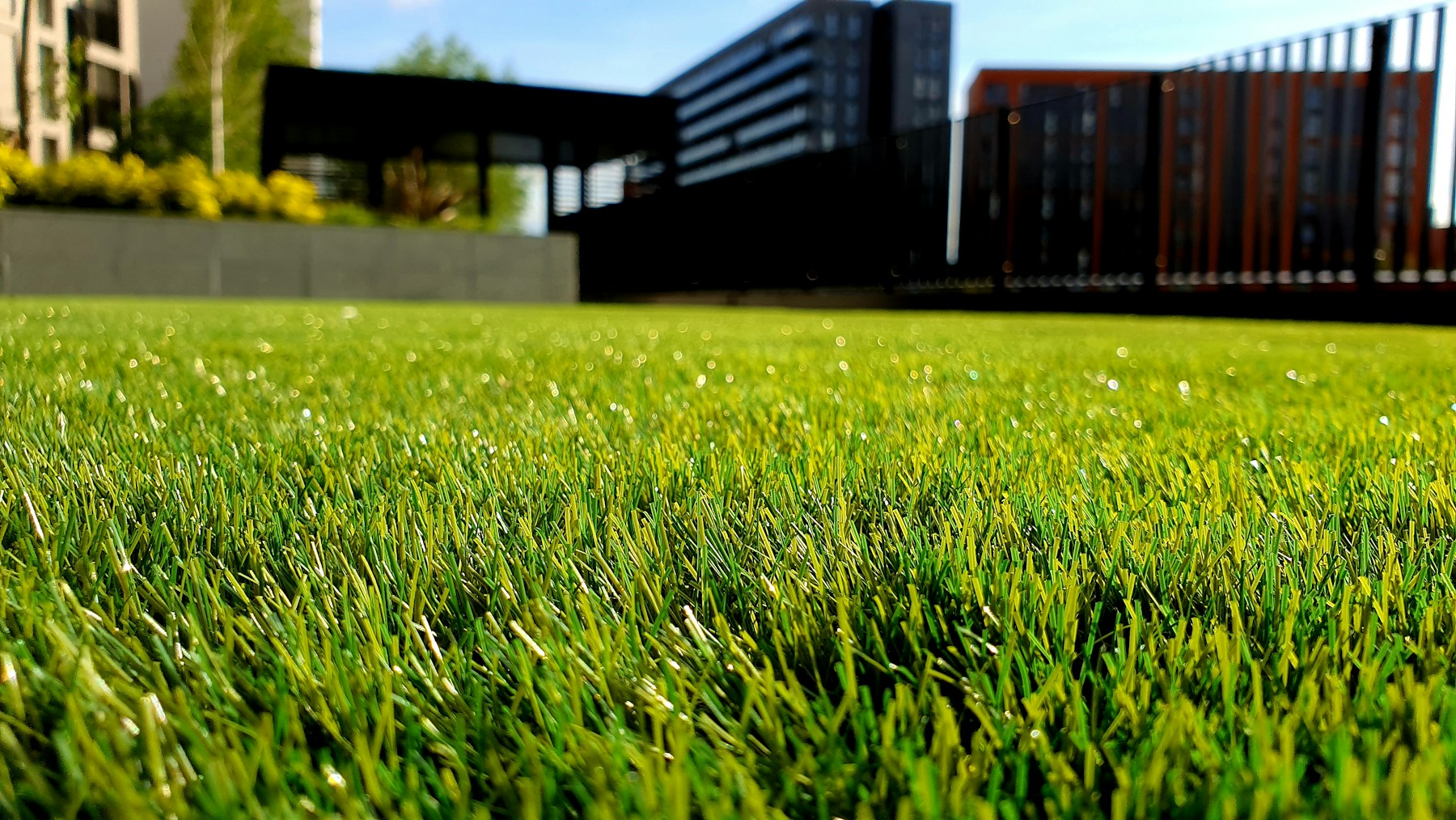 Landscaped garden beside a home