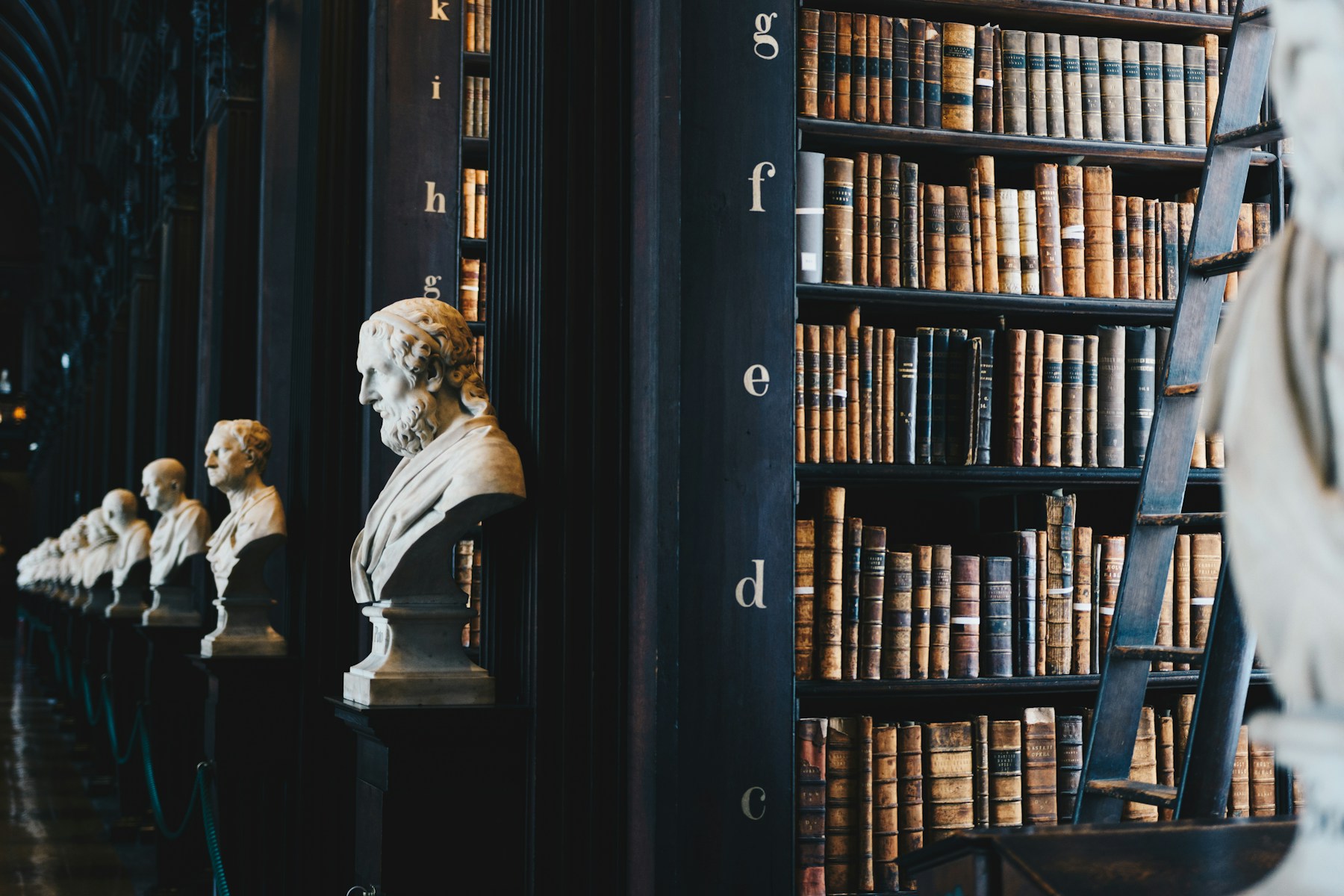 Law firm website concept